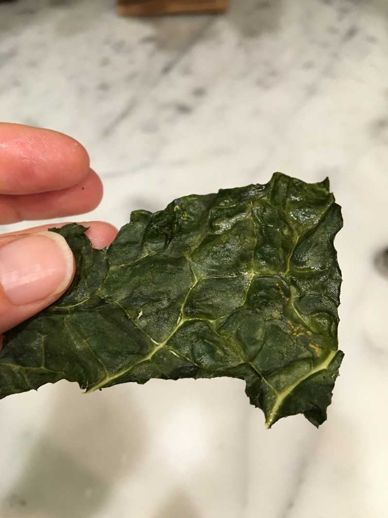 perfect single kale chip.jpeg